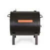 Char-Griller Grills 2-in-1 250-sq in Black Portable Charcoal Grill