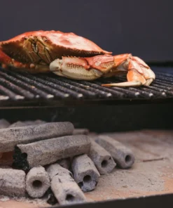 Prime 6 Grilling Fuels Premium sustainable reusable charcoal 9-lb Charcoal Briquettes -Mmaster Outlet Shop 40791405 scaled