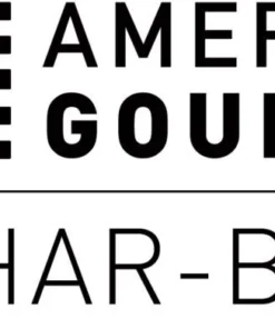 American Gourmet Grills Black 2-Burner Liquid Propane Gas Grill -Mmaster Outlet Shop 42462845