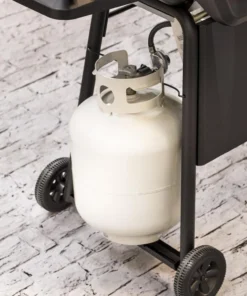 American Gourmet Grills Black 2-Burner Liquid Propane Gas Grill -Mmaster Outlet Shop 42619324