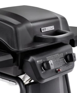 American Gourmet Grills Black 2-Burner Liquid Propane Gas Grill -Mmaster Outlet Shop 42619332