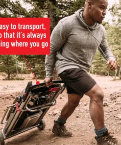 Weber Grills Traveler Portable Gas Grill -Mmaster Outlet Shop 42720720