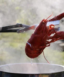 BBQ Croc Grilling Tools & Accessories 3 in 1 barbecue tool, 21 in. Black Aluminum Scissor-style Tongs 15 BBQ Croc Grilling Tools & Accessories 3 in 1 barbecue tool, 21 in. Black Aluminum Scissor-style Tongs -Mmaster Outlet Shop 43286438