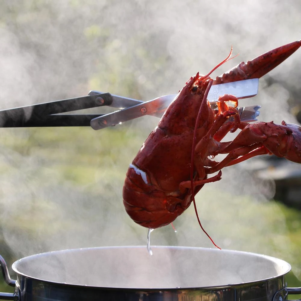 BBQ Croc Grilling Tools & Accessories 3 in 1 barbecue tool, 21 in. Black Aluminum Scissor-style Tongs 7 BBQ Croc Grilling Tools & Accessories 3 in 1 barbecue tool, 21 in. Black Aluminum Scissor-style Tongs - Image 7