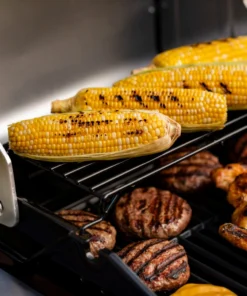 Char-Broil Grills Performance Black 2-Burner Liquid Propane Gas Grill -Mmaster Outlet Shop 43463030 scaled