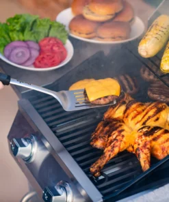 Char-Broil Grills Performance Black 2-Burner Liquid Propane Gas Grill -Mmaster Outlet Shop 43463031 scaled