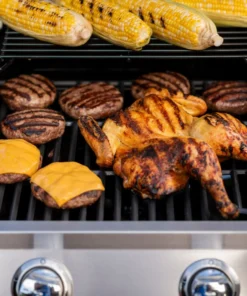 Char-Broil Grills Performance Black 2-Burner Liquid Propane Gas Grill -Mmaster Outlet Shop 43463035 scaled